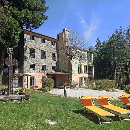 Borzonasca Il Bosco Di Campo Marzano Studios מראה חיצוני תמונה