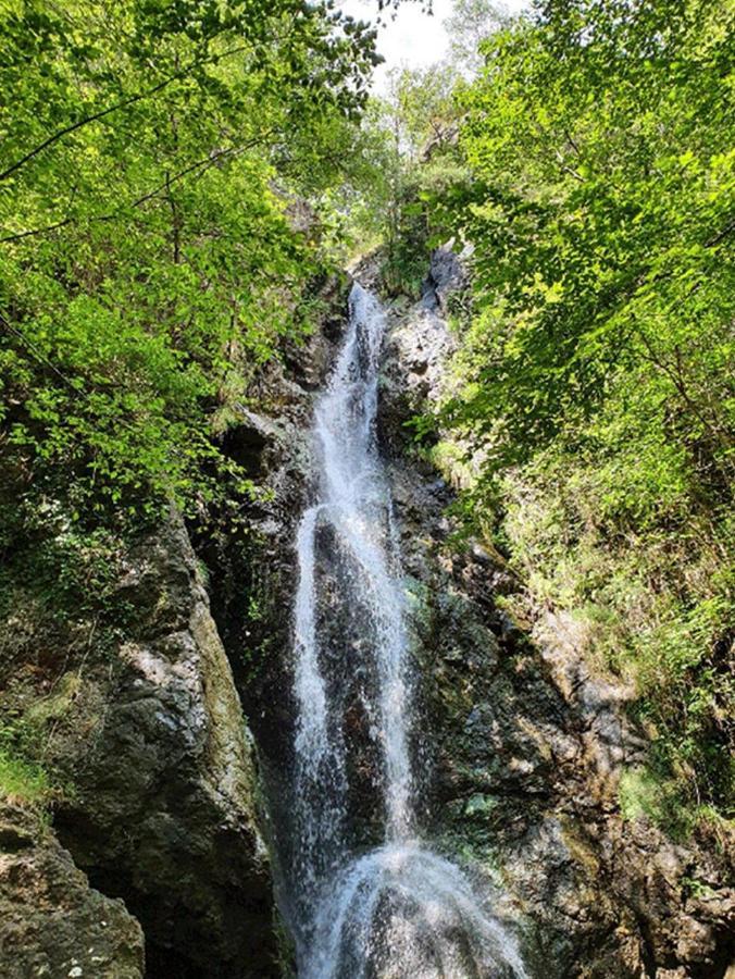 Borzonasca Il Bosco Di Campo Marzano Studios מראה חיצוני תמונה