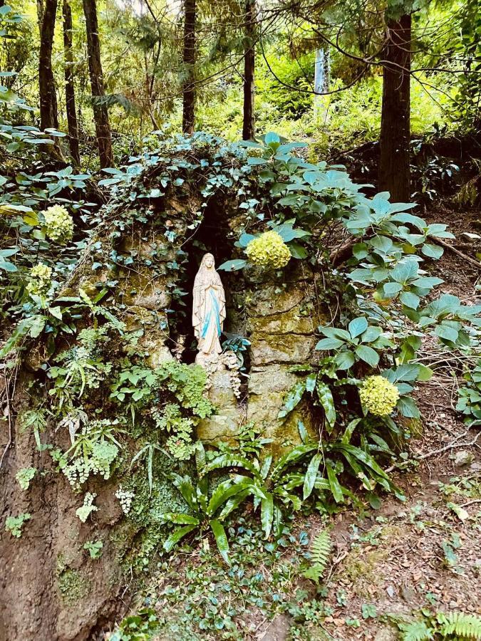 Borzonasca Il Bosco Di Campo Marzano Studios מראה חיצוני תמונה