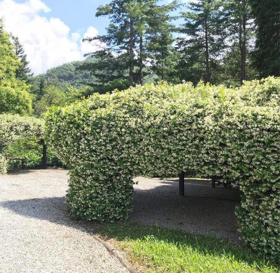 Borzonasca Il Bosco Di Campo Marzano Studios מראה חיצוני תמונה