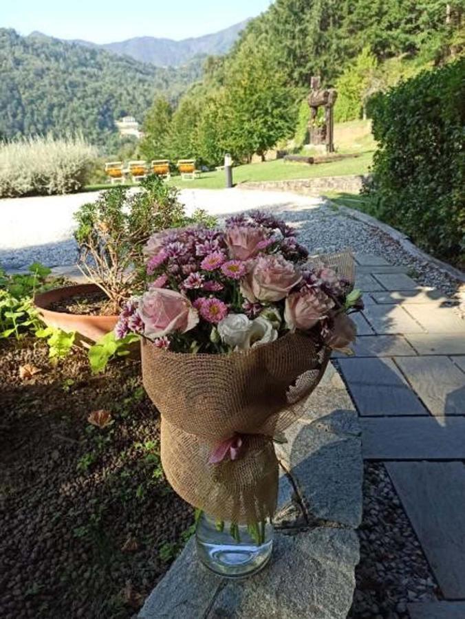 Borzonasca Il Bosco Di Campo Marzano Studios מראה חיצוני תמונה