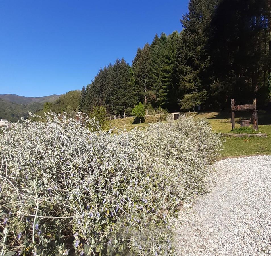 Borzonasca Il Bosco Di Campo Marzano Studios מראה חיצוני תמונה