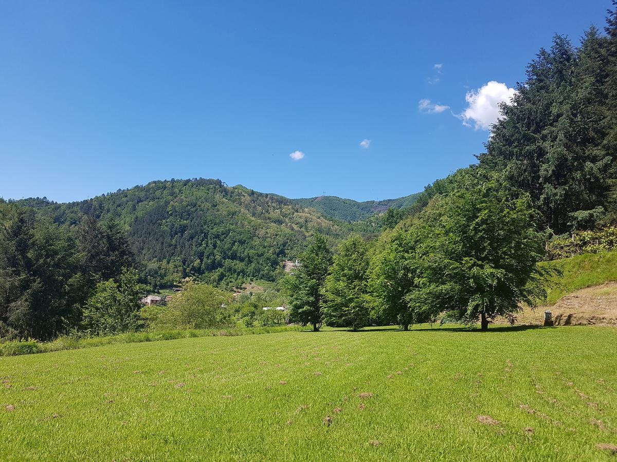 Borzonasca Il Bosco Di Campo Marzano Studios מראה חיצוני תמונה