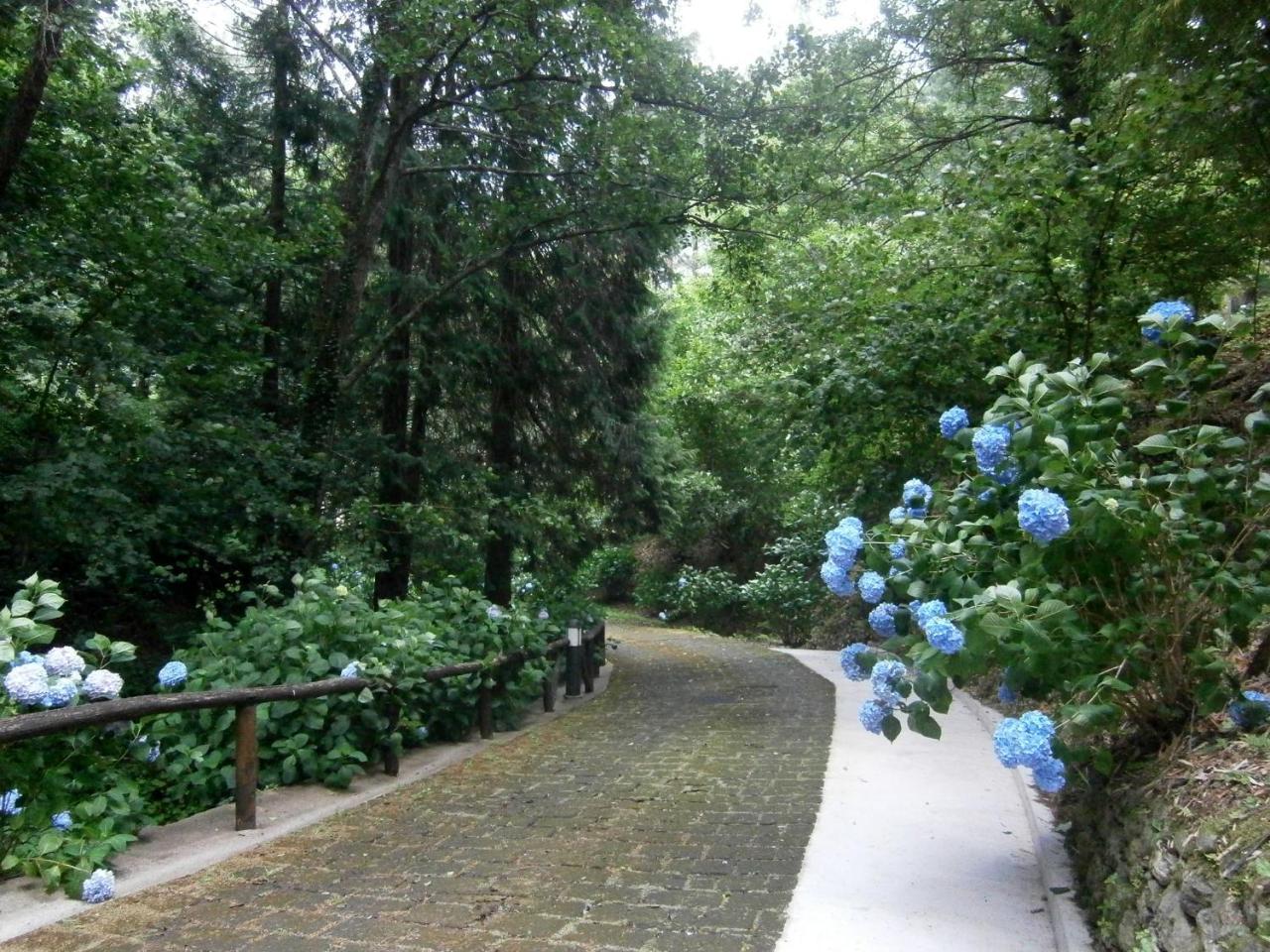Borzonasca Il Bosco Di Campo Marzano Studios מראה חיצוני תמונה