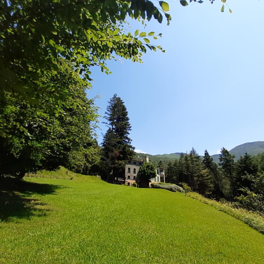 Borzonasca Il Bosco Di Campo Marzano Studios מראה חיצוני תמונה