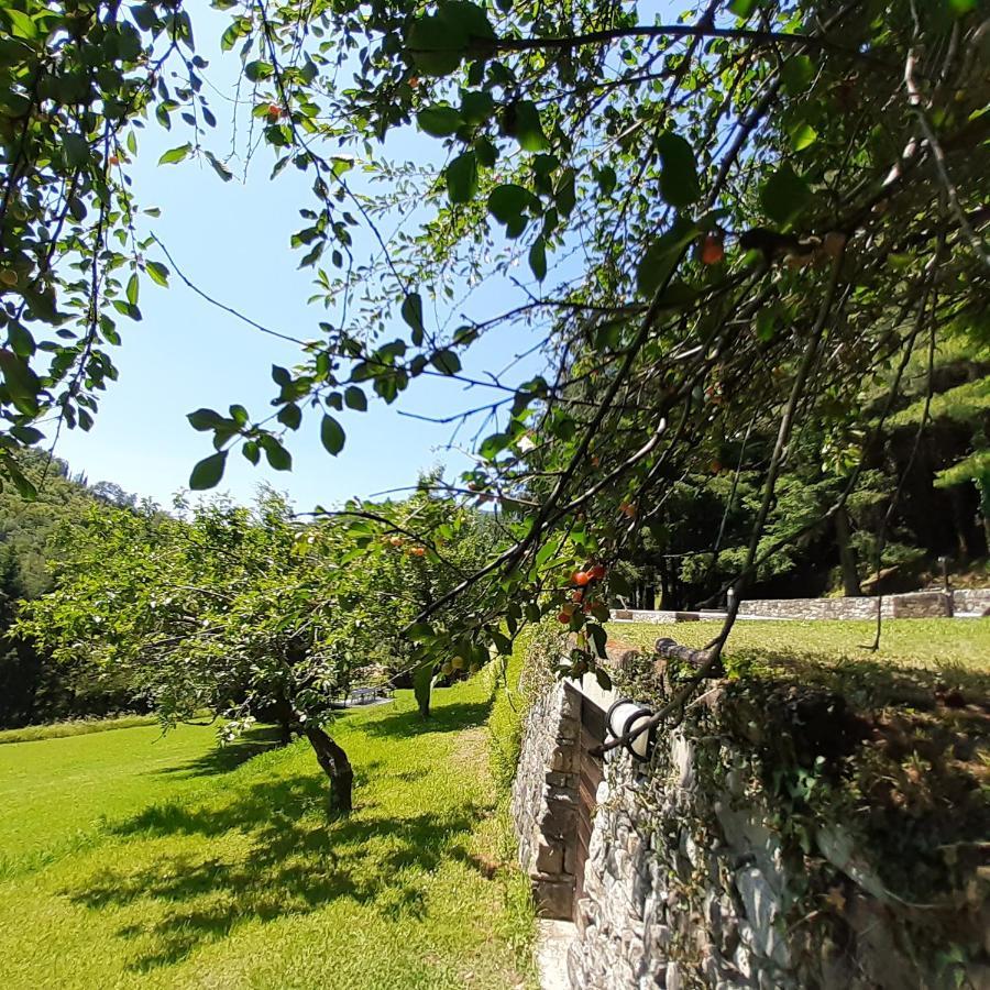 Borzonasca Il Bosco Di Campo Marzano Studios מראה חיצוני תמונה